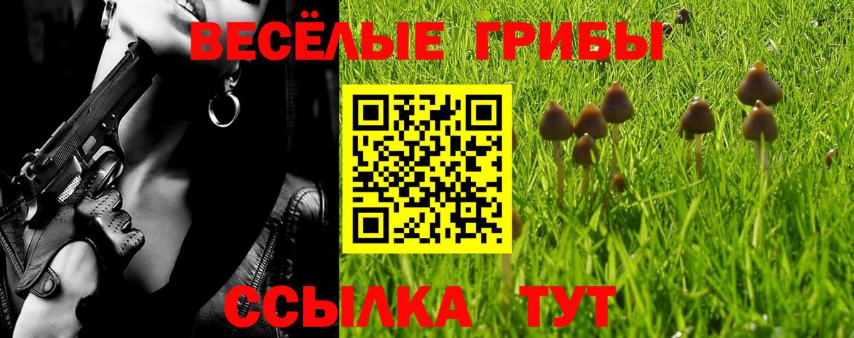 Новокуйбышевск  Галлюциногенные грибы Magic Shrooms  Вход с VPN 